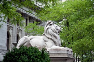 800px-Lion_sculpture,_New_York_Public_Library,_New_York,_NY_07422u_original